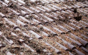 Harlington roof cleaning companies