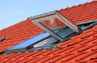 Harlington roof window